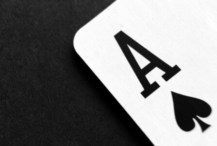 article image - 